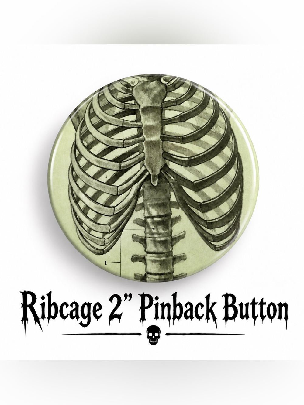 Ribcage 2” Handmade Pinback Button — Gothic Anatomy Accent